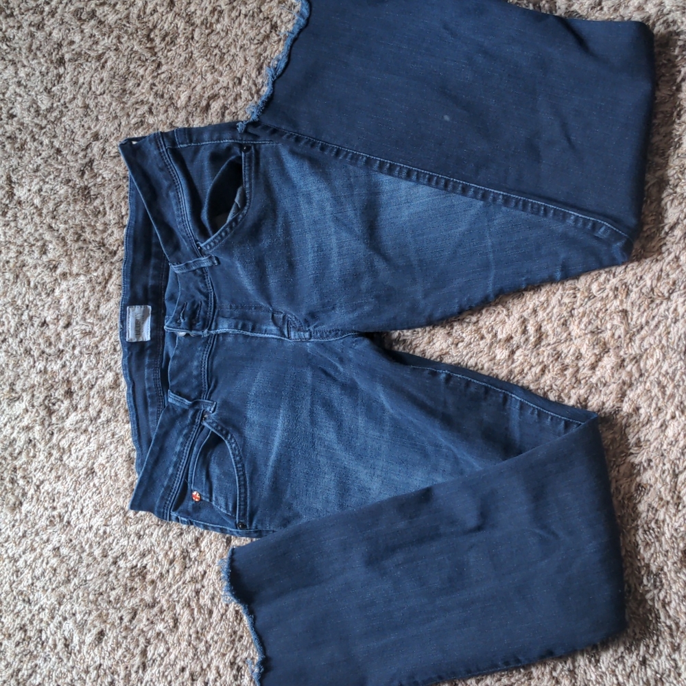 Hudson Jeans, Dark Blue, Size 30